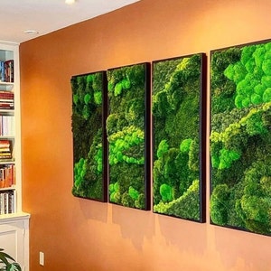 Muurkunst groot mos: wanddecoratie gemaakt van echt mos