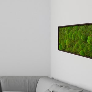 Natural Beauty: Large Moss Wall Art in a Frame Crafted from Pine Wood