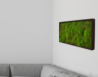 Preserved Moss Wall Art Natural Green Texture