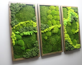 Preserved moss wall art, Biophilic design