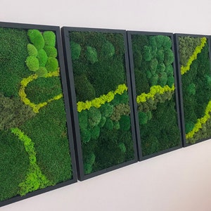 Large Moss Wall Art: Wall Decor Made of Real Moss