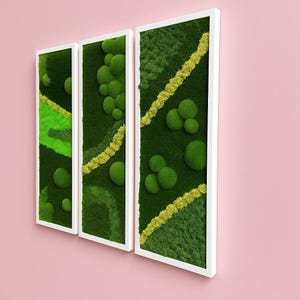 Preserved Moss Wall Art Natural Green Living Wall Decor for Office Home Office and Reception