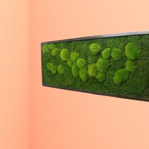 Large Preserved Moss Wall Art with Natural Moss Wall Art