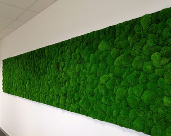 Large Green Moss Wall Art Natural Home Accent Panel