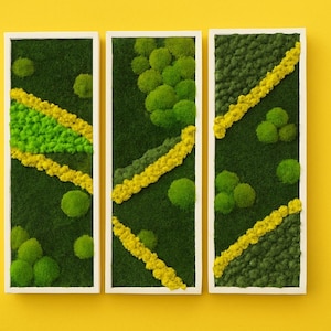 Natural preserved moss wall art for office and workplace decor