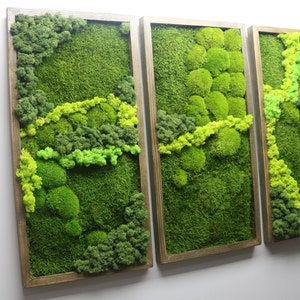 Real Moss Wall Art Framed Green Statement Piece for Interiors