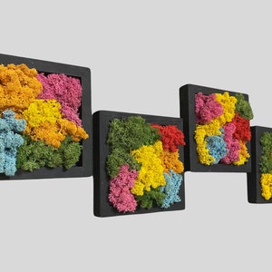 Moss Wall Art Colorful Preserved Moss Frames