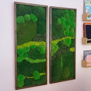 Moss Wall Art Natural Home Decor