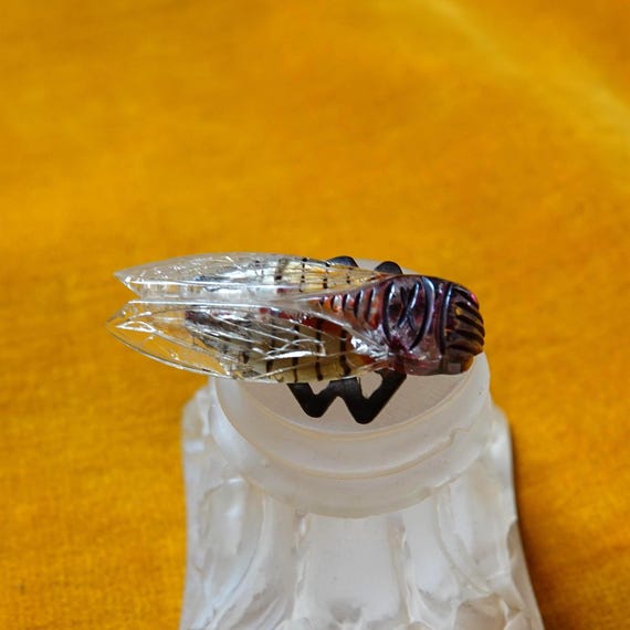 Art deco cicada pin/Bug brooch/1930s Bakelite & L… - image 4