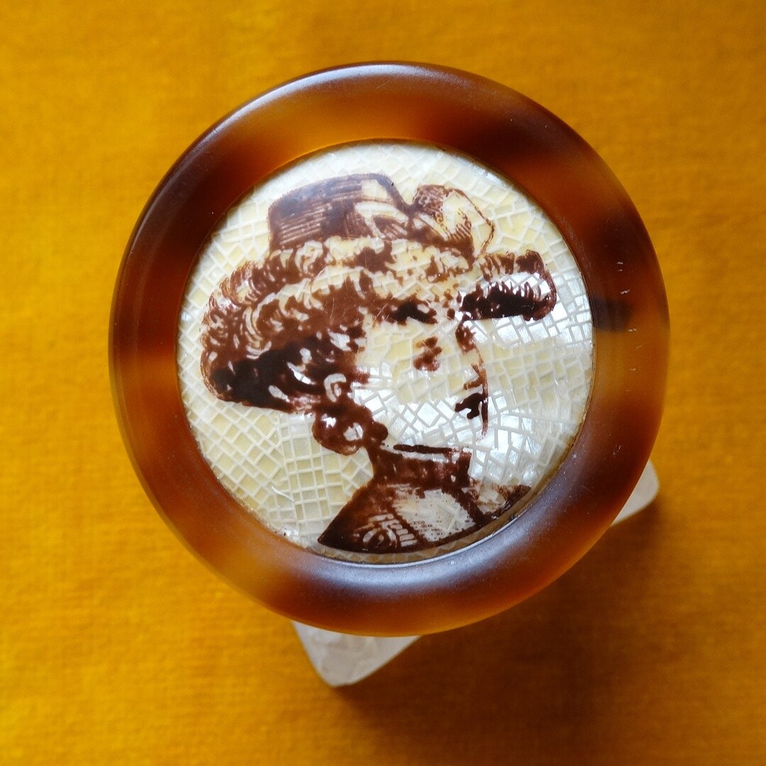 Vintage Léa Stein Brooch/1960s Lea Stein Serigraphy Brooch/collectible