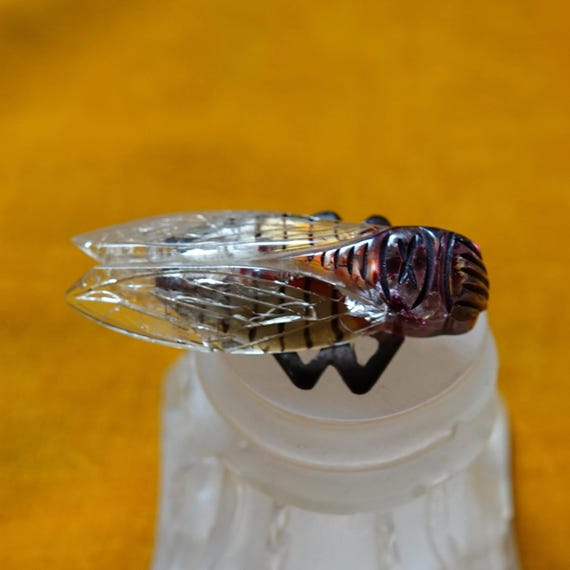 Art deco cicada pin/Bug brooch/1930s Bakelite & L… - image 1