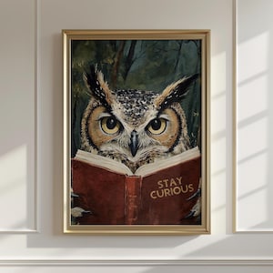 May include: A framed print featuring a detailed painting of a brown and white owl with large yellow eyes, reading a book. The book is open, displaying the words "STAY CURIOUS" in gold lettering. The background shows a dark forest.