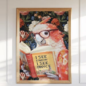 May include: A framed art print featuring a colorful parrot wearing glasses and reading a book. The book's cover reads "I SEE LONDON I SEE FRANCE." The background is a floral pattern with red, white, and blue flowers. The frame is gold.