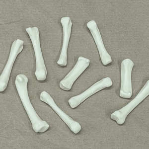 Puede incluir: Una colección de diez huesos de plástico blanco, esparcidos sobre una superficie marrón.