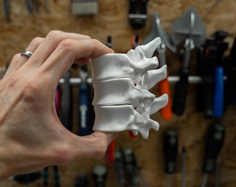 Wervelbotten - Giethars - Set van 3