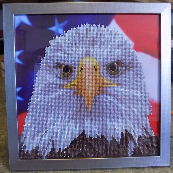 Diamond Dotz Kits Etsy