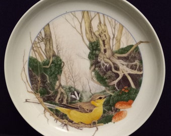 Тарелка фарфоровая, настенная, винтажная. La serie "Puti жизни" ("Formas de vida"). Compañía Arzberg (Baviera). Artista Martín Kamm.