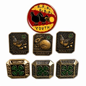 May include: A collection of seven metal pins including one circular red pin with black poultry silhouettes and the text A.P.A. A.B.A. YOUTH, two rectangular bronze poultry pins, one rabbit pin, and three square pins labeled SECOND, THIRD, and FOURTH.