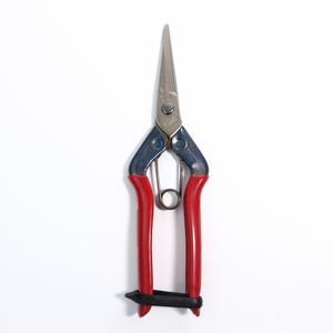 Chikamasa T-550S Stainless Bud Trimming Shears – Garden Scissors for Harvesting, Thinning & Bonsai