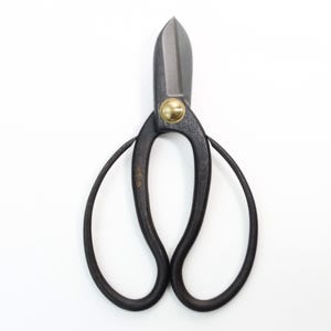 Senkichi Gold Bonsai Koryu Shears – 165mm Round-Tip Flower Scissors for Arranging & Pruning