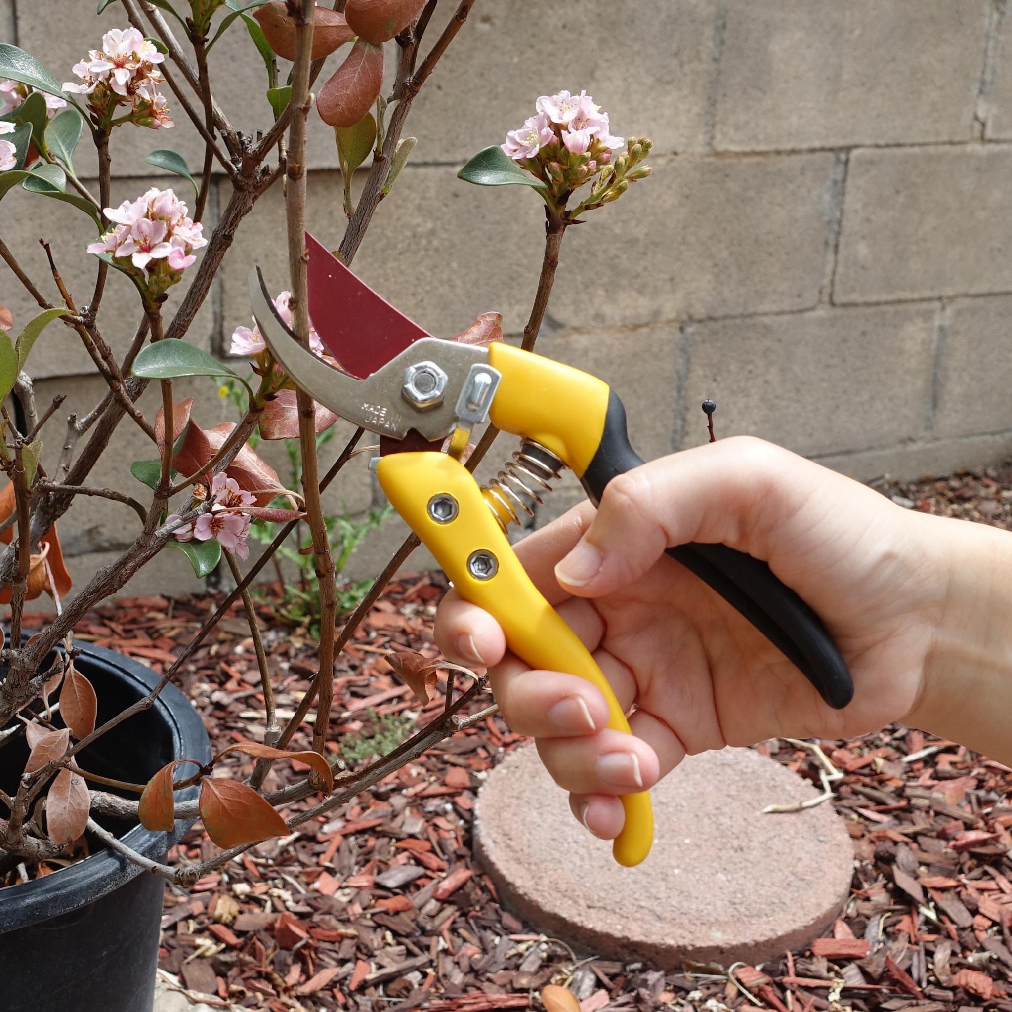 Chikamasa Ultra Rosso 7 Pruning Shears – Lightweight