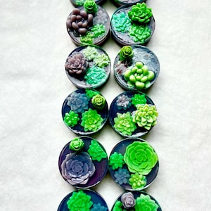 Succulent Soap | Plant Soap | Plant Lover Gifts | All Natural Soap | Plants | Horticulture gift
