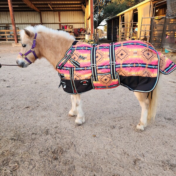 Miniature Horse Etsy