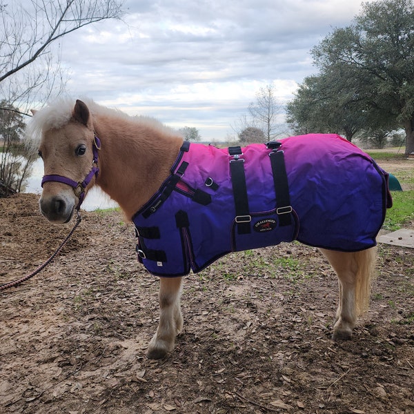 Miniature Horse Etsy