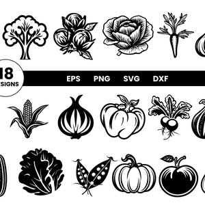 May include: A set of 18 black and white vector illustrations of various vegetables and fruits, including a head of broccoli, a bunch of asparagus, a bunch of grapes, a rose, a carrot, a fig, a chilli pepper, an ear of corn, an onion, a tomato, a radish, a pumpkin, a pea pod, a lettuce, a courgette, and a gourd.