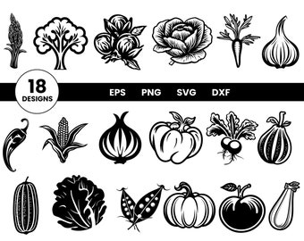 Vegetables SVG Bundle, Fresh Vegetables, Illustration, SVG Bundle, Cut Files