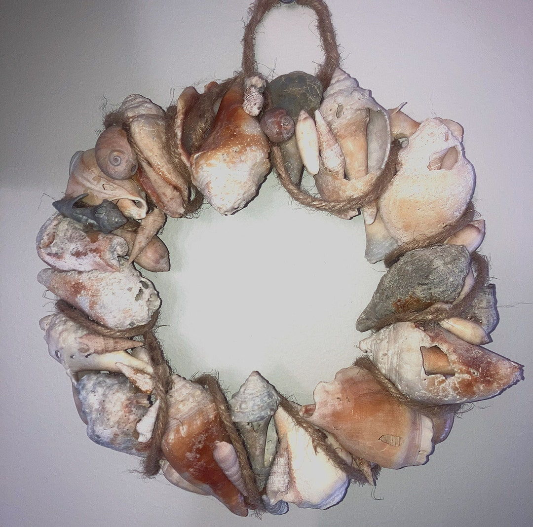 Small Seashell Wreath - Etsy