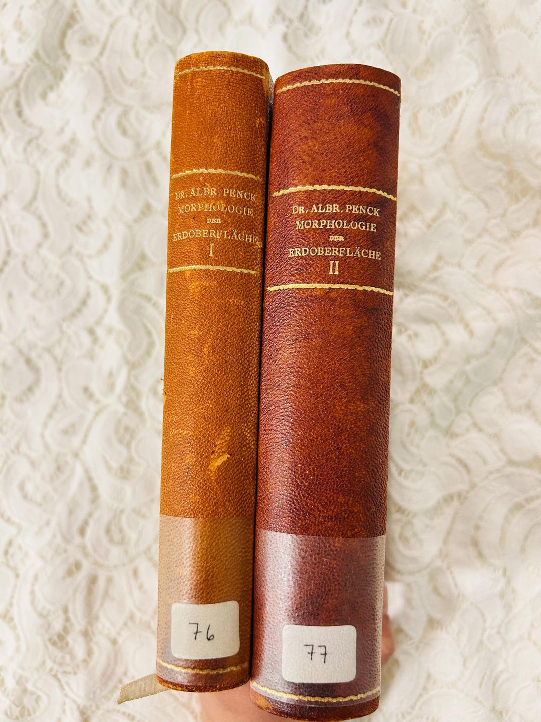 Antique Geomorphology Books | Albrecht Penck 1894 First Edition Set - Etsy