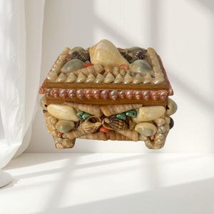 May include: A rectangular wooden box decorated with an assortment of natural seashells in shades of tan, brown, cream, and iridescent pink. The lid features a large central conch shell, while the sides are covered in various spiral shells.