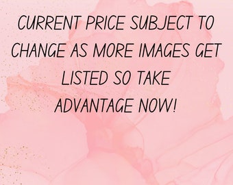 Printed Transfers License for bundles