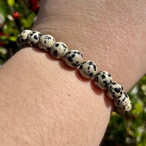 Dalmatian Jasper True Purpose Natural Gemstone Bracelet