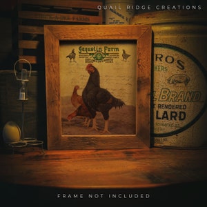 May include: A vintage framed print of a black and brown hen with two smaller hens in the background. The print is titled "Jaquelin Farm" and includes the text "Breeders & Importers of Champion Cornish Fowls, Courtland H. Smith Proprietor, Virginia".