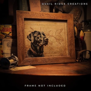 May include: A framed print of a vintage hunting stamp featuring a black Labrador Retriever dog looking to the right. The stamp reads "Migratory Bird Hunting Stamp" and "1954 Department of the Interior".