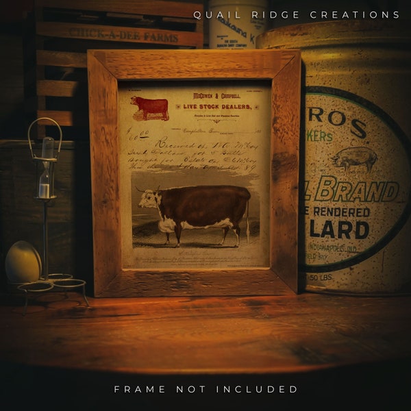 Hereford Cattle Wall Art Etsy