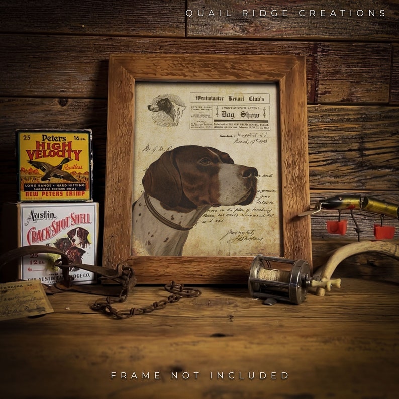 Vintage Dog Show Advertising Art Print 8x10 Unframed Pointer Etsy