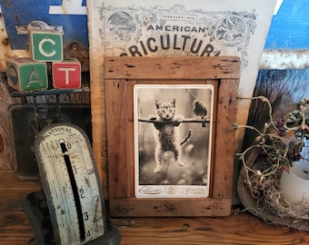 Hang In There Kitten Art Print on Antique Cabinet Card