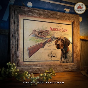 Póster vintage de perro de caza de pelo corto alemán, impresión artística de 11 x 14 pulgadas, obra de arte publicitaria de pistola Parker, decoración de pared para cabaña de pesca y caza, regalo para cazador