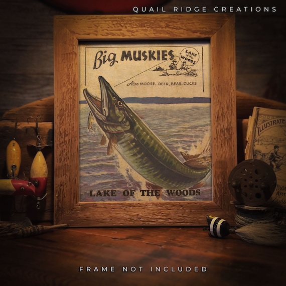 Vintage Lake of the Woods Advertising Big Muskie Fishing Lures Art