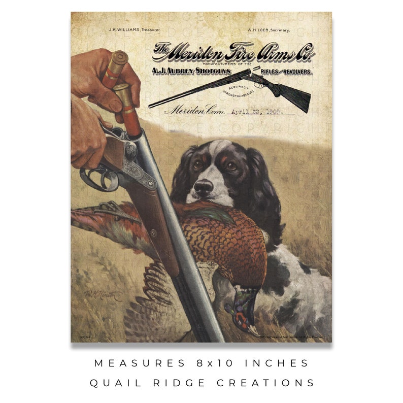 Vintage Shotgun Advertising Art Print, English Springer Spaniel Hunting ...