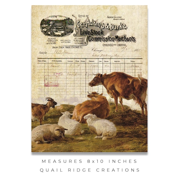 Vintage Cattle Rancher Advertising Art Print 8x10 Unframed Cows