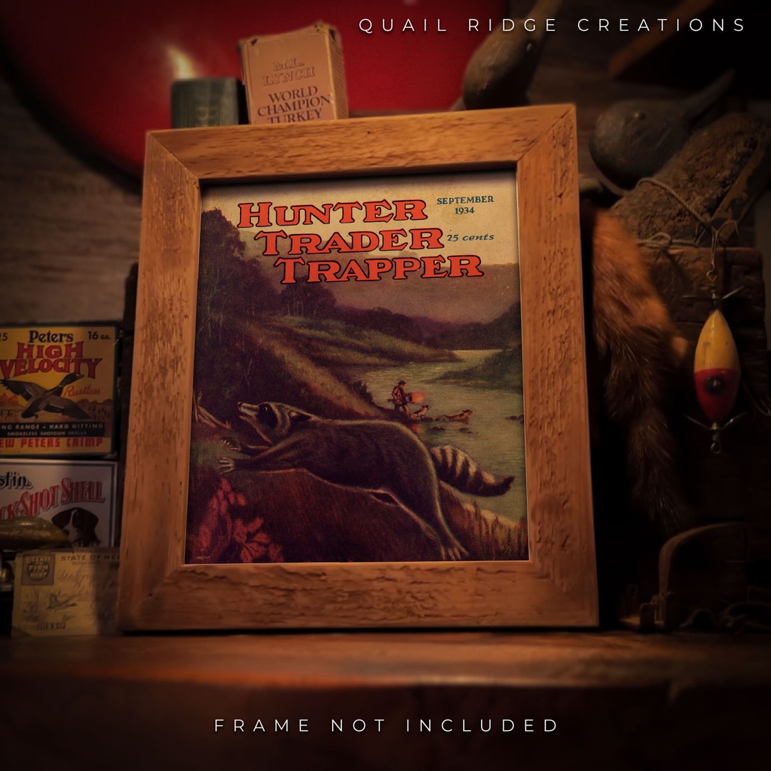 Vintage Raccoon Hunting Trapping Art Print 8x10 Unframed Walker Hounds