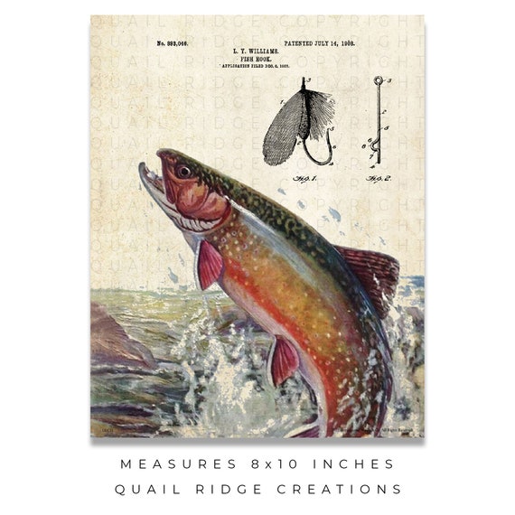 Vintage Fly Fishing Lures Patent Art Print 8x10 Unframed Brook Trout  Hunting Cabin Wall Decor 