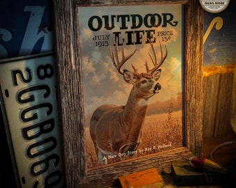 Whitetail Deer Art Print 11X14 Unframed Vintage Wildlife Magazine Cover Deer Hunting Fishing Cabin Lodge Wall Decor Gift