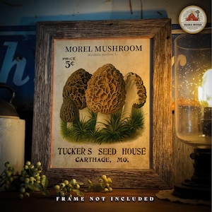 Morel Mushroom Art Print 11x14 Unframed Morel Mushroom Hunting Artwork Fishing Cabin Wall Art Decor Mushroom Hunter Gift