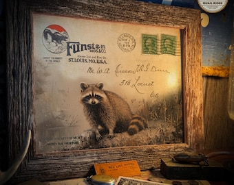 May include: A vintage postcard featuring a raccoon with the text "Funsten Bros & Co. Corner 2nd and Elm St. St. Louis, Mo. USA." and "Mr. W.A. Fisson J.R. & Dum 510 Locust City" handwritten on it. The postcard is framed in a rustic wooden frame.