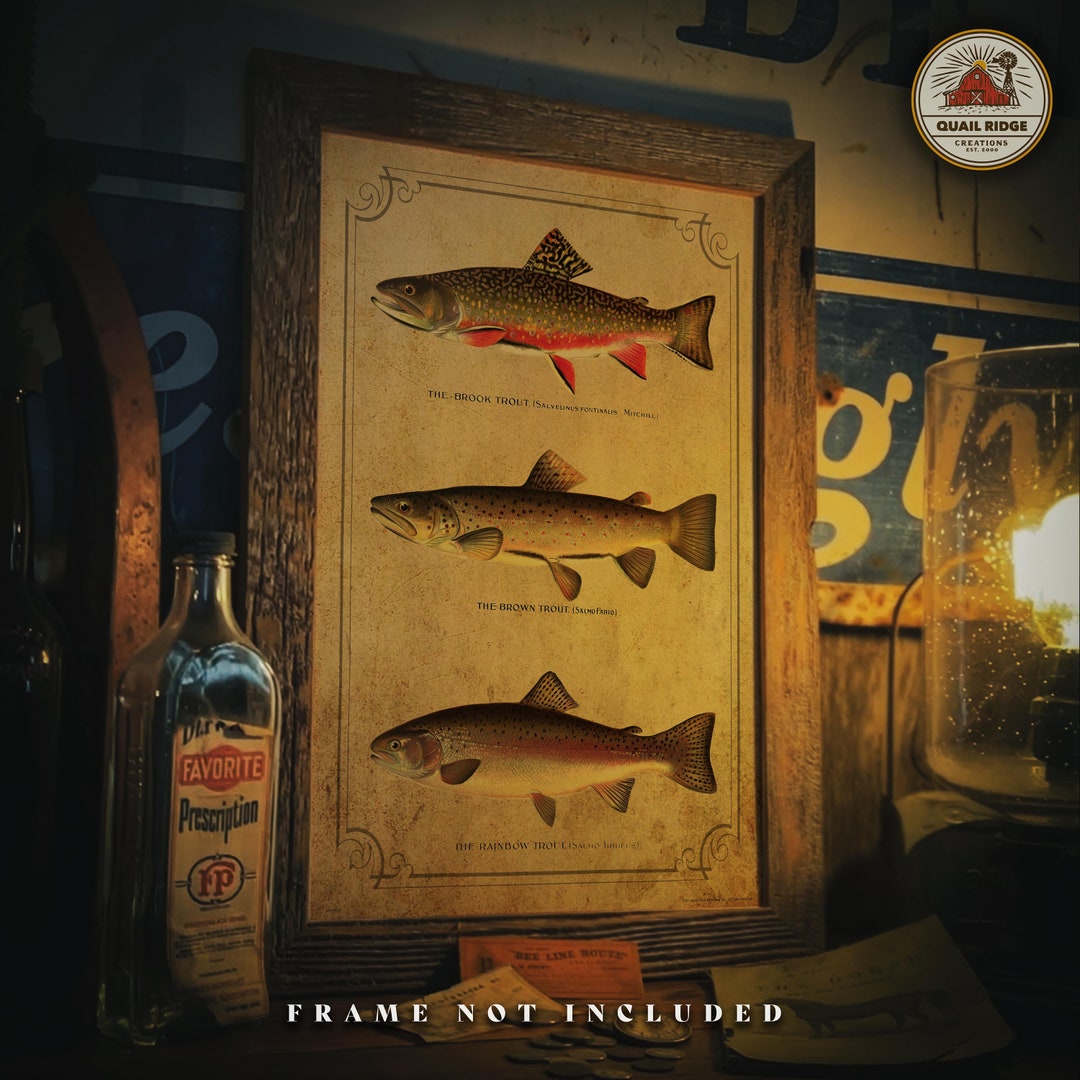 18-Inch Hand-Painted Brook Trout Wall Mount – Lifelike Fish Replica Plaque For Man Cave Or Cabin